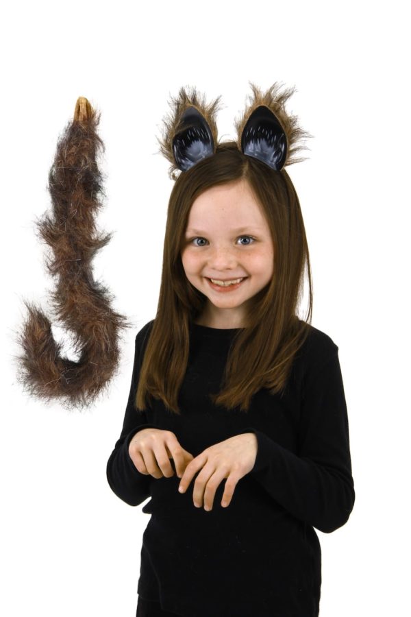 Cat Ears & Tail Brown (Fox) 2