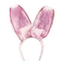 Pink Bunny Ears 7