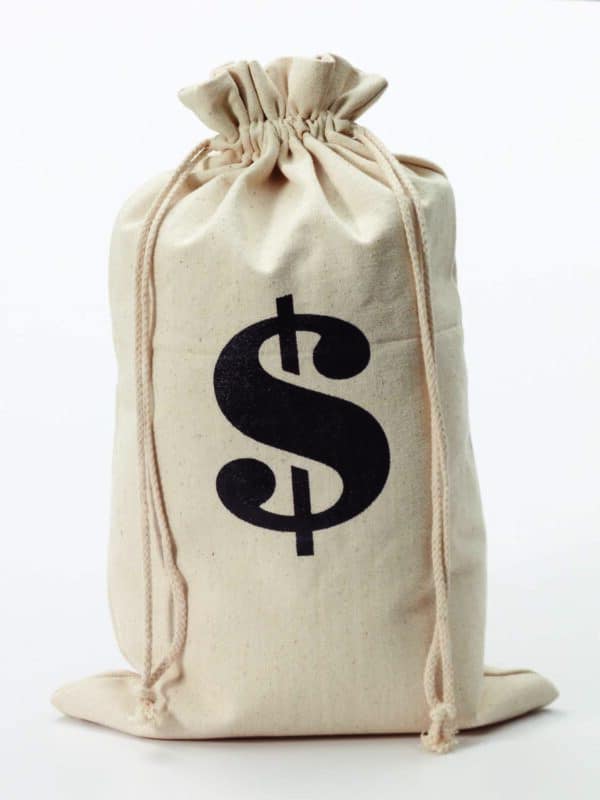 Money Bag 1