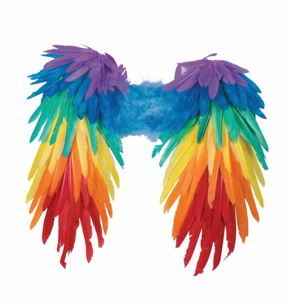Rainbow Wings 1