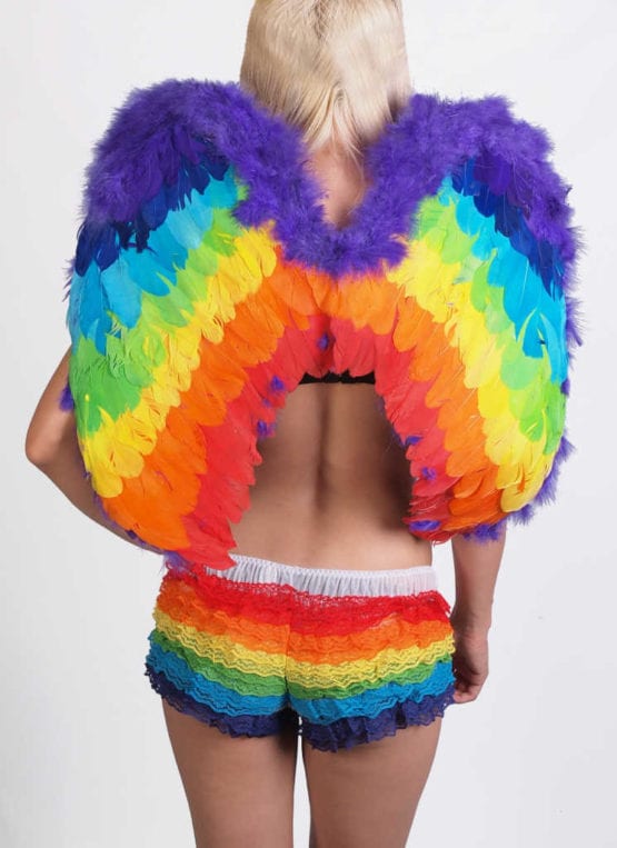 Fuzzy Rainbow Feather Wings 6