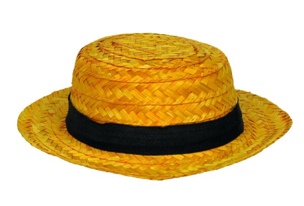 Adult Skimmer Hat 1