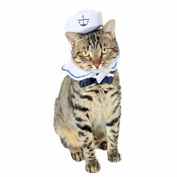 Sailor Dog Costume 1