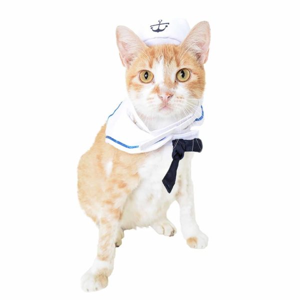 Sailor Dog Costume 2