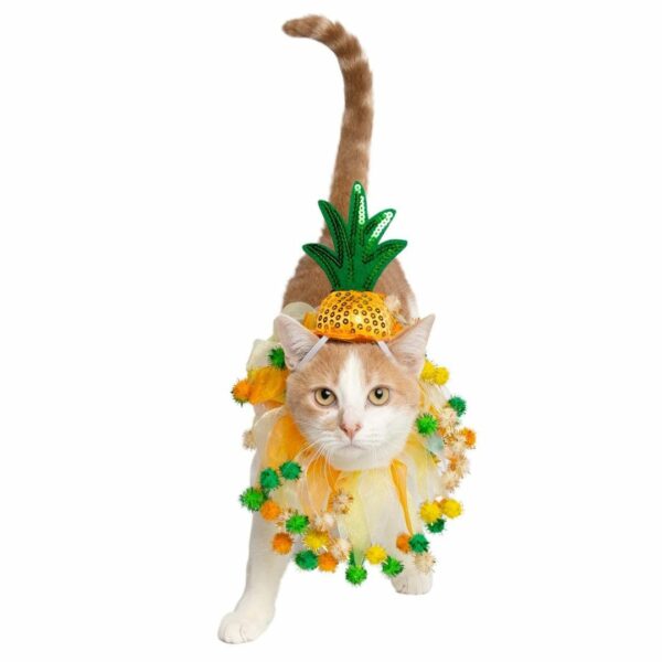 Pet Pineapple Hat and Collar 1