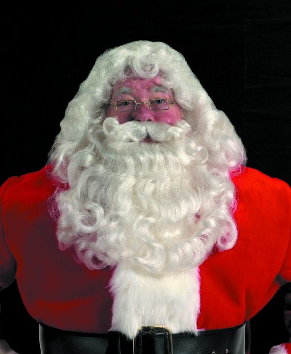 Professional Santa Wig & Beard Set 1