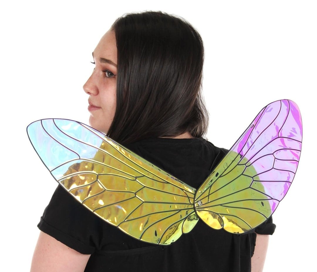 Holographic Bee Wings 6