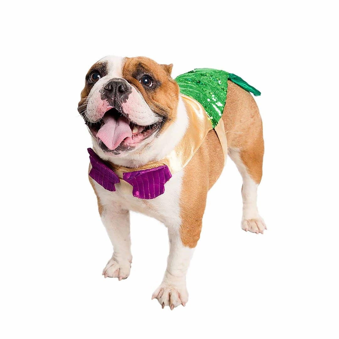 Mermaid Dog Costume w/ Reversible Sequined Tail 2