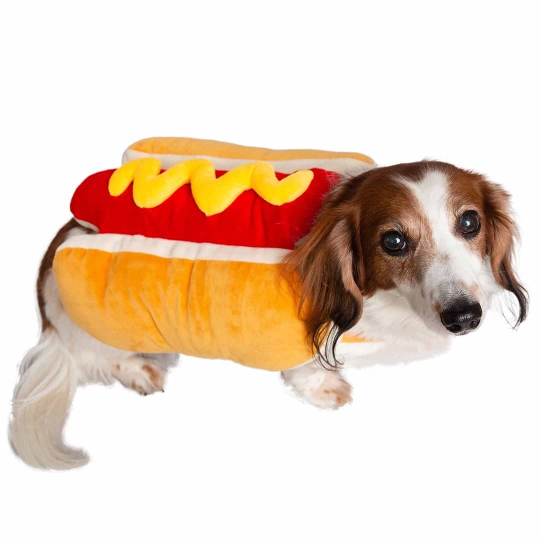 Pet Hot Dog Costume 6