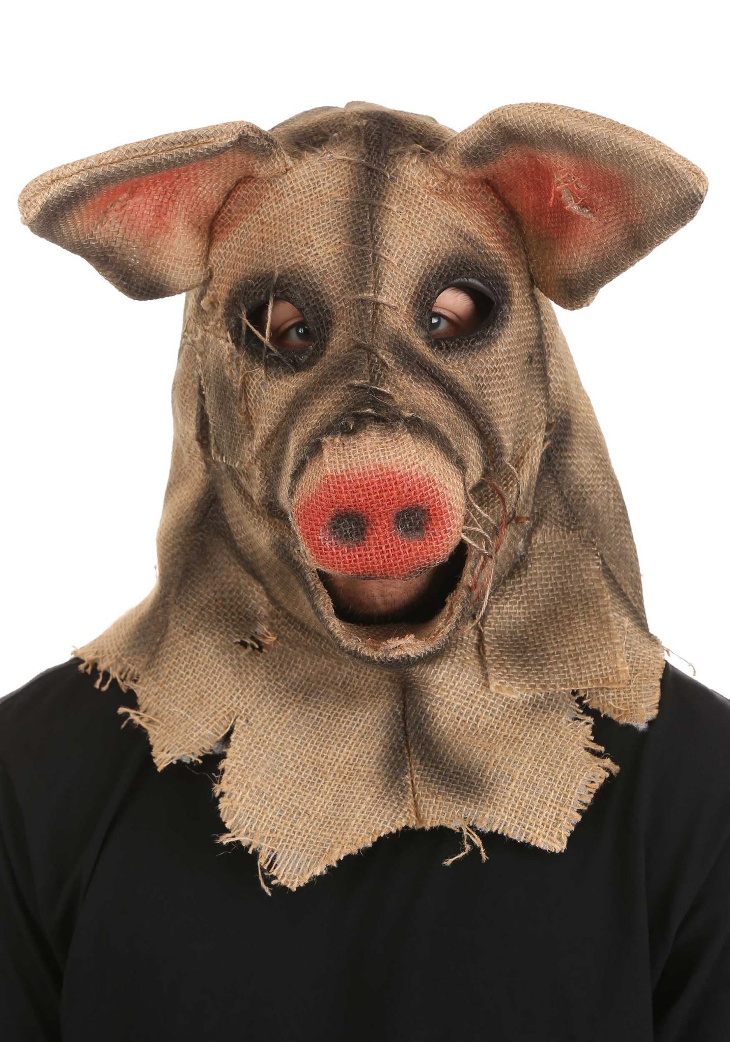 Pig Scarecrow Mouth Mover 3