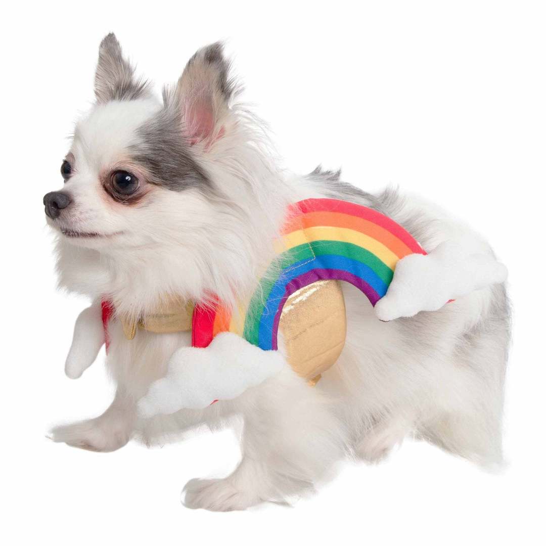 Rainbow Dog Pet Costume 10