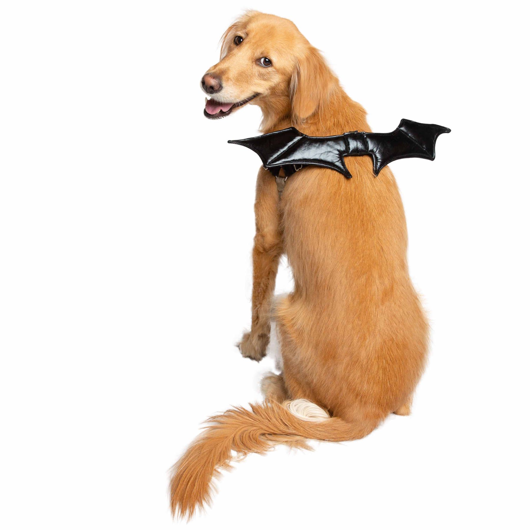 Bat Wing Pet Costume 9
