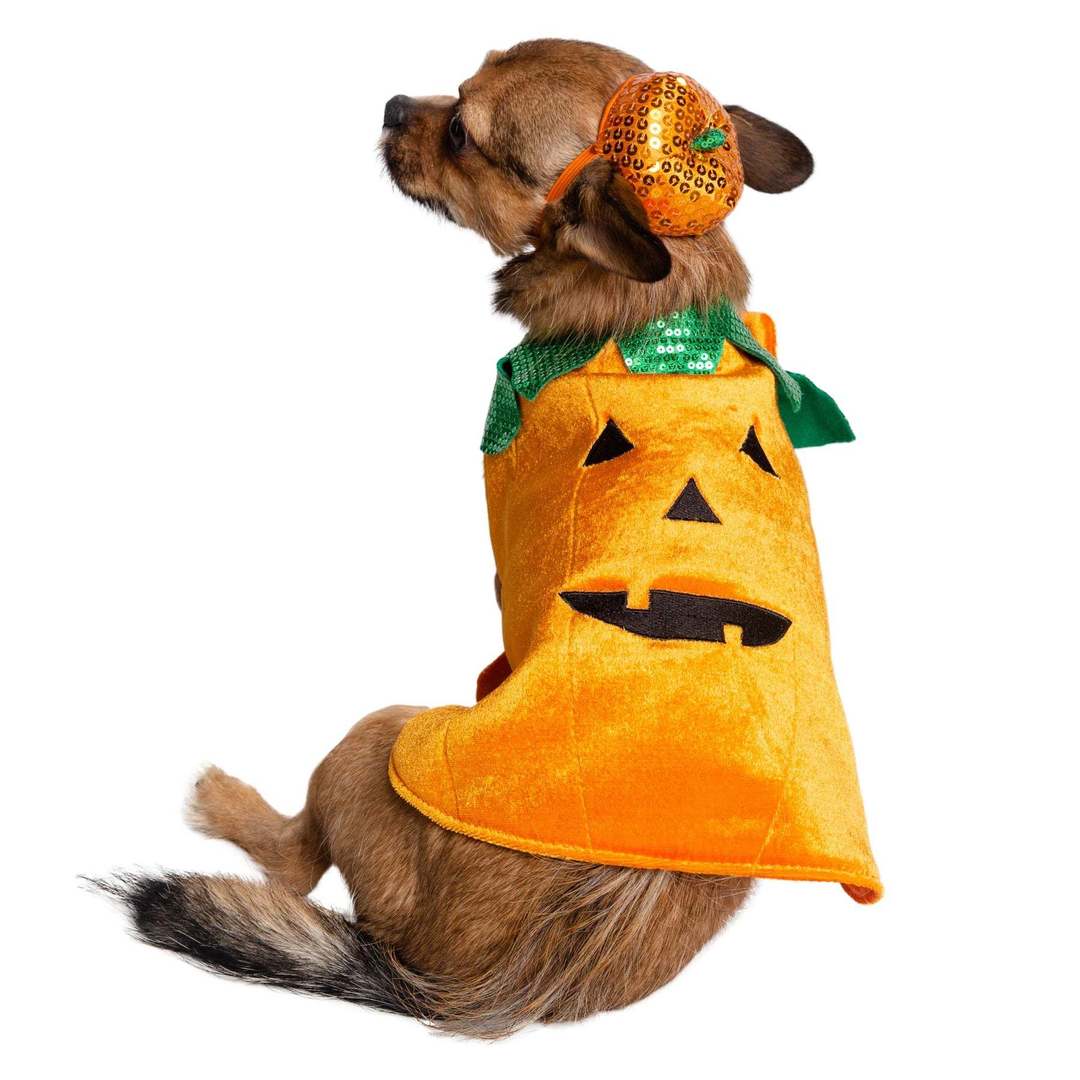 Pumpkin Pet Costume 8