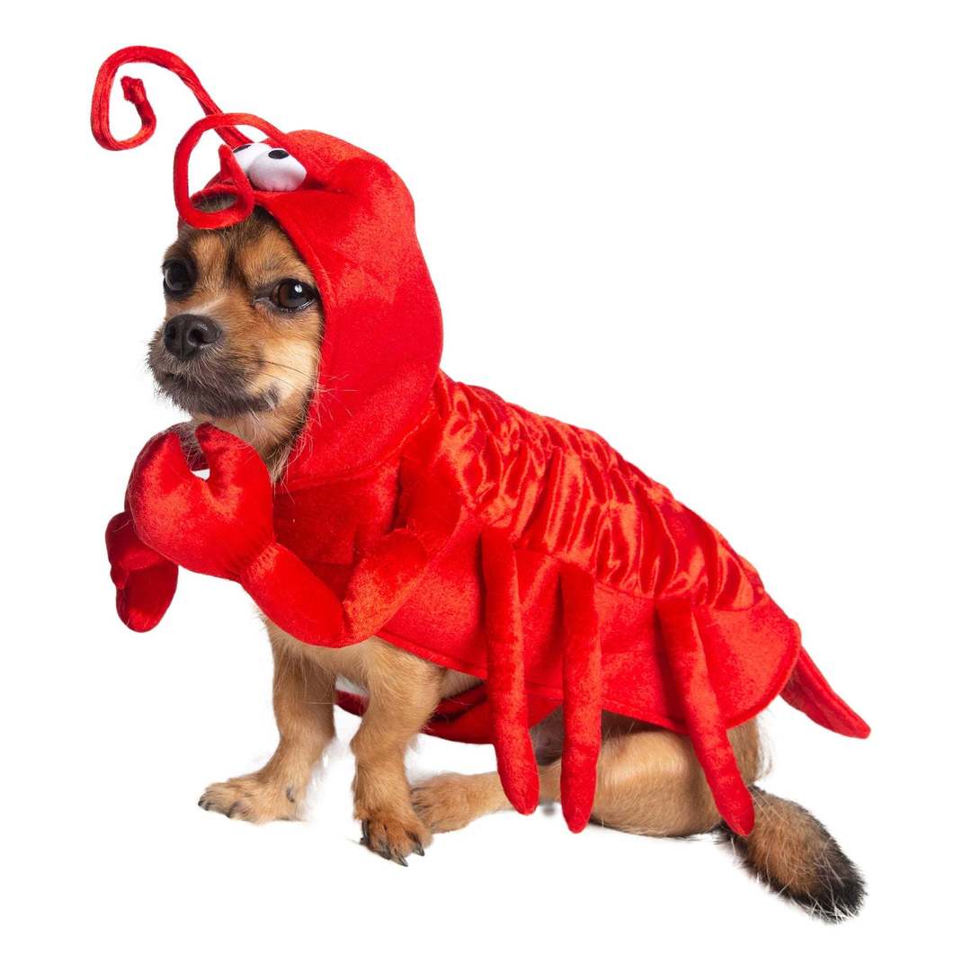 Lobster Pet Costume 4